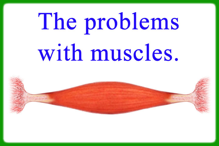 the_problems_with_muscles-2022.jpg