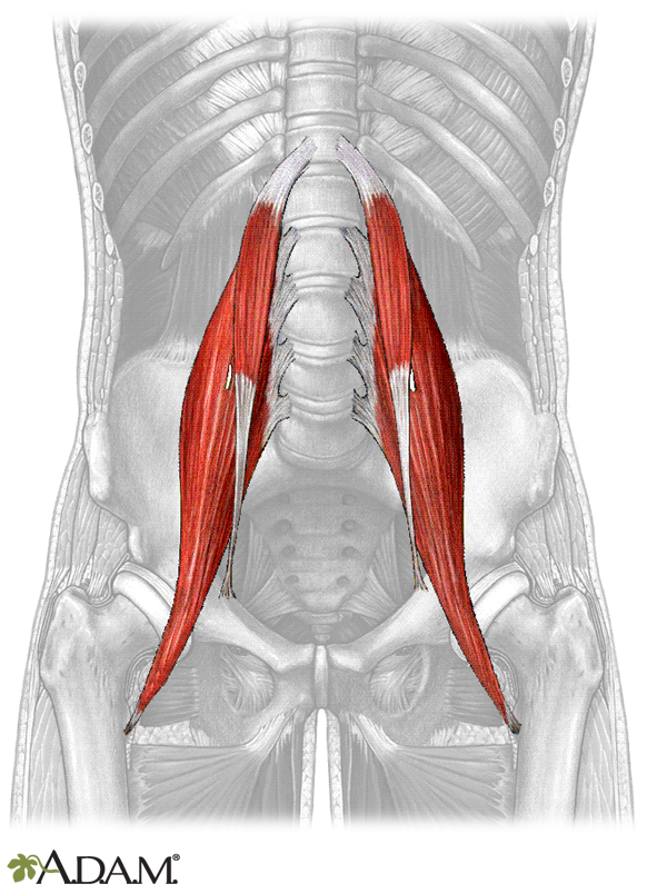 psoas focused