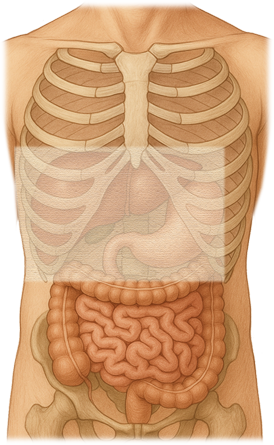 castor oil pack placement